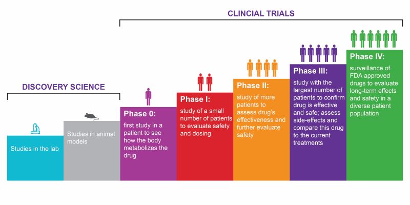 Hierarchy Of Clinical Trials What Are Clinical Trials Definition And